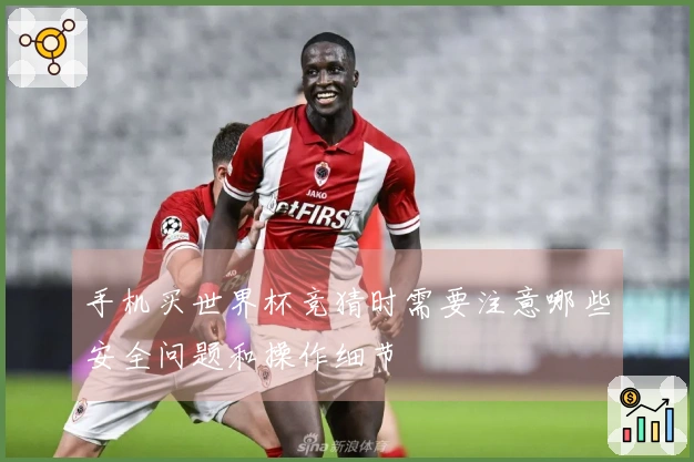 手机买世界杯竞猜时需要注意哪些安全问题和操作细节