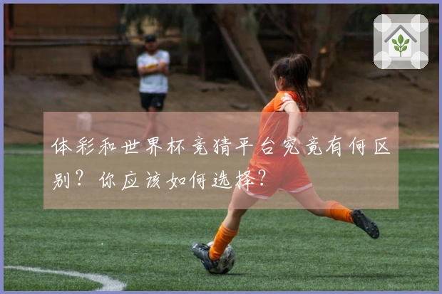 体彩和世界杯竞猜平台究竟有何区别?你应该如何选择?