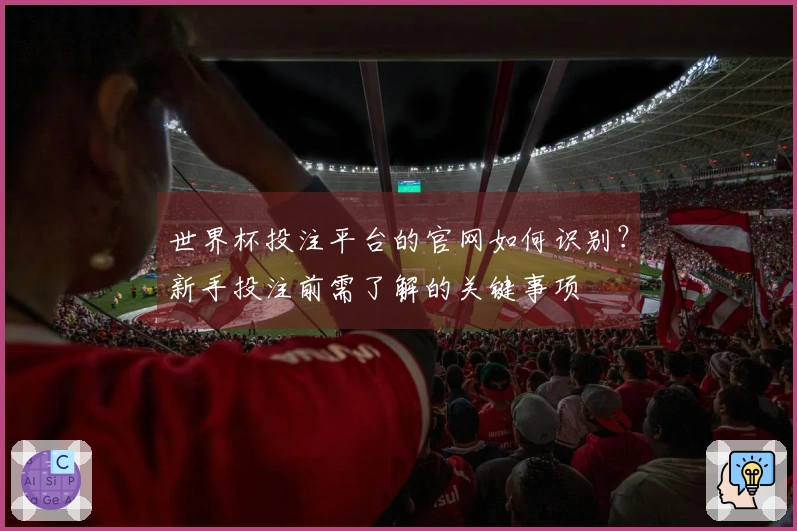 世界杯投注平台的官网如何识别?新手投注前需了解的关键事项