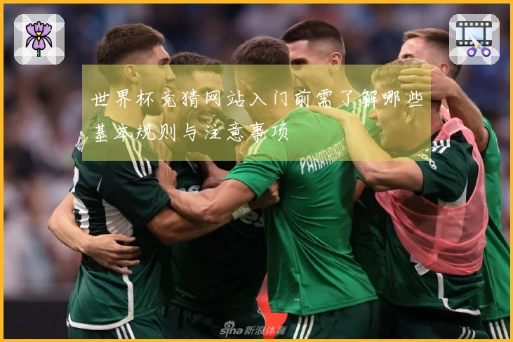 世界杯竞猜网站入门前需了解哪些基本规则与注意事项