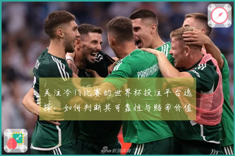 关注冷门比赛的世界杯投注平台选择，如何判断其可靠性与赔率价值？