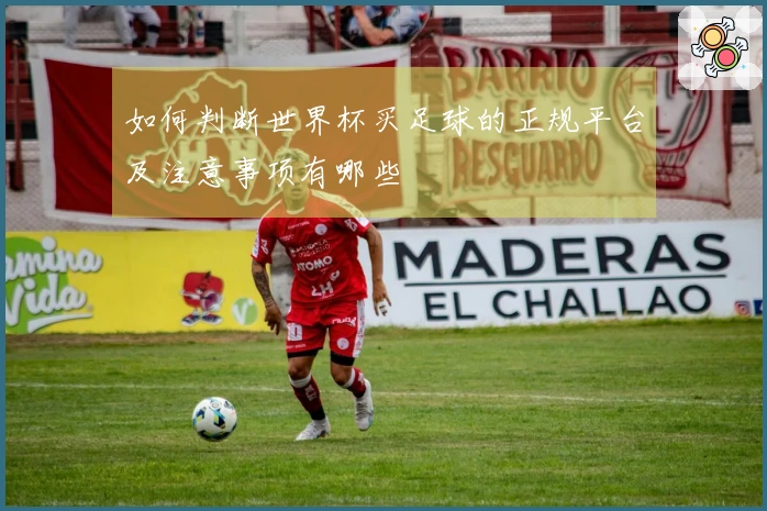 如何判断世界杯买足球的正规平台及注意事项有哪些