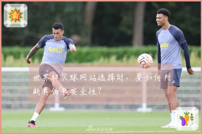 世界杯买球网站选择时，要如何判断真伪和安全性？