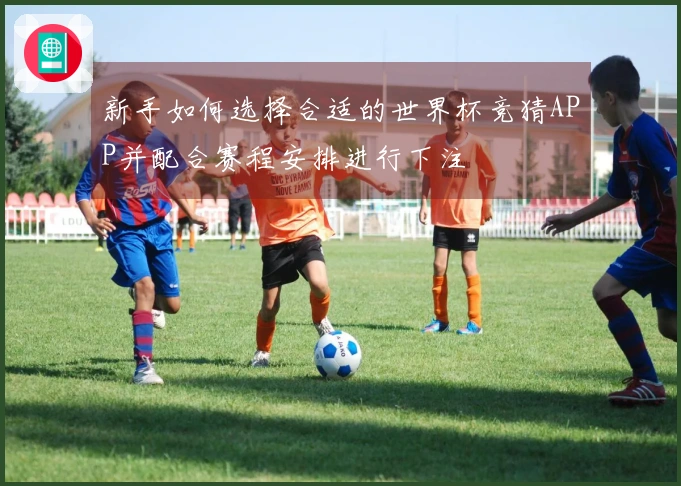 新手如何选择合适的世界杯竞猜APP并配合赛程安排进行下注