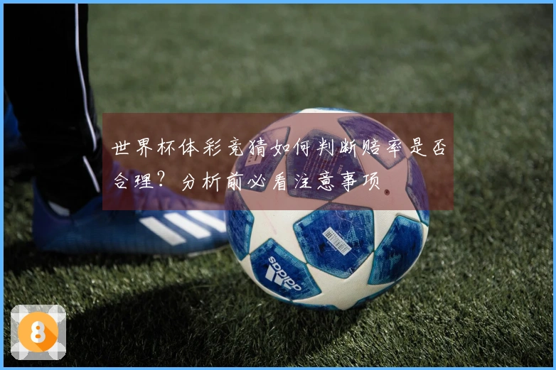 世界杯体彩竞猜如何判断赔率是否合理？分析前必看注意事项
