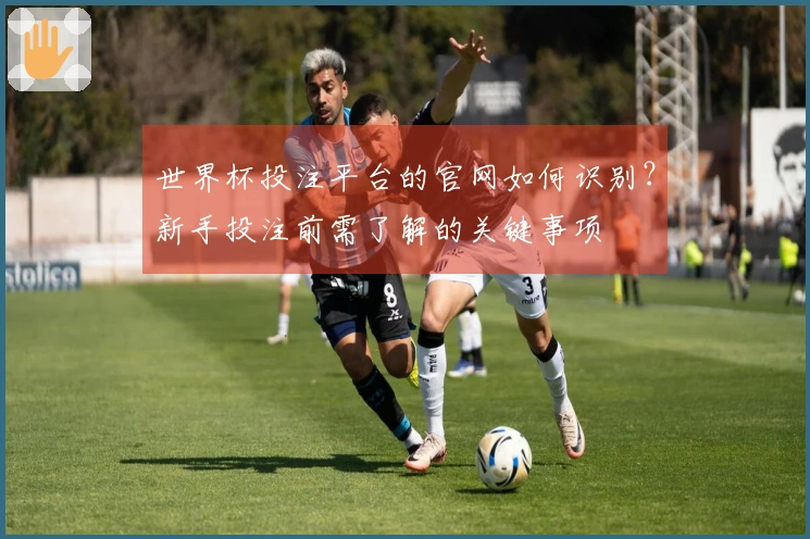 世界杯投注平台的官网如何识别？新手投注前需了解的关键事项
