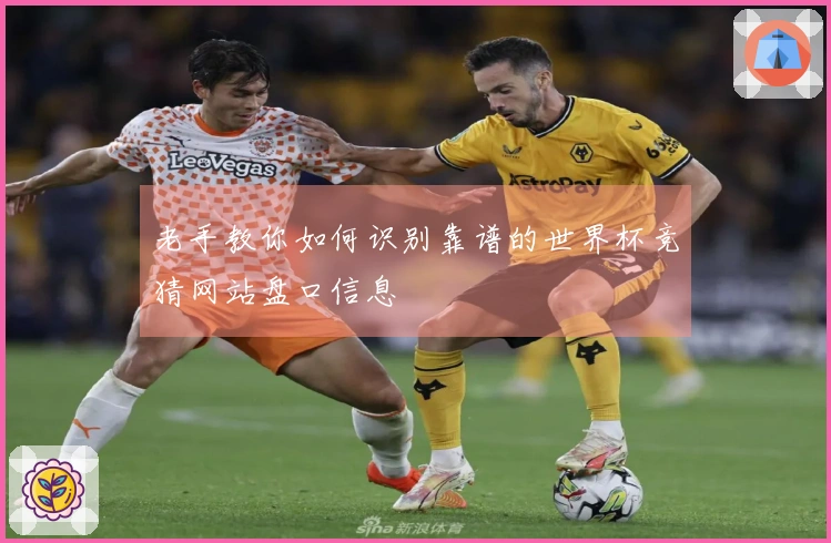 老手教你如何识别靠谱的世界杯竞猜网站盘口信息