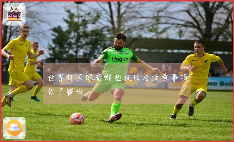 世界杯买球有哪些技巧与注意事项你了解吗