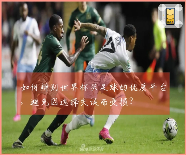 如何辨别世界杯买足球的优质平台，避免因选择失误而受损？