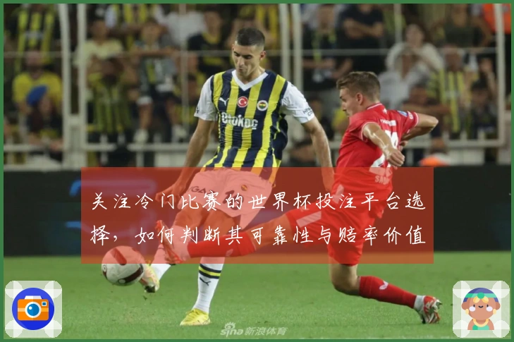 关注冷门比赛的世界杯投注平台选择，如何判断其可靠性与赔率价值？