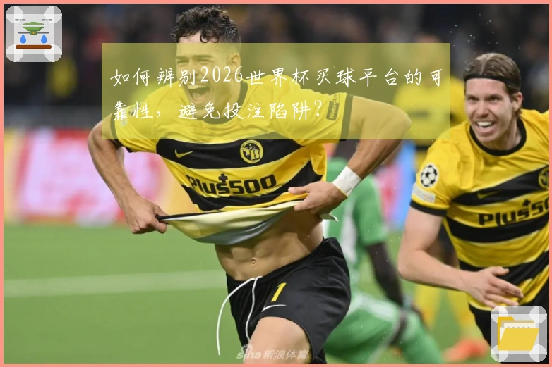 如何辨别2026世界杯买球平台的可靠性，避免投注陷阱？