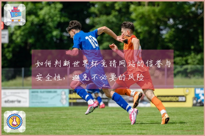 如何判断世界杯竞猜网站的信誉与安全性，避免不必要的风险