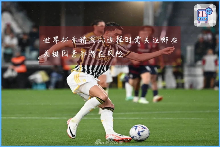世界杯竞猜网站选择时需关注哪些关键因素和潜在风险