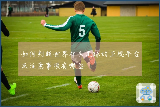 如何判断世界杯买足球的正规平台及注意事项有哪些