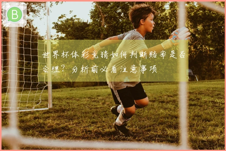 世界杯体彩竞猜如何判断赔率是否合理？分析前必看注意事项