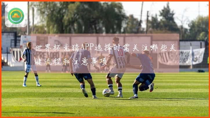 世界杯竞猜APP选择时需关注哪些关键流程和注意事项