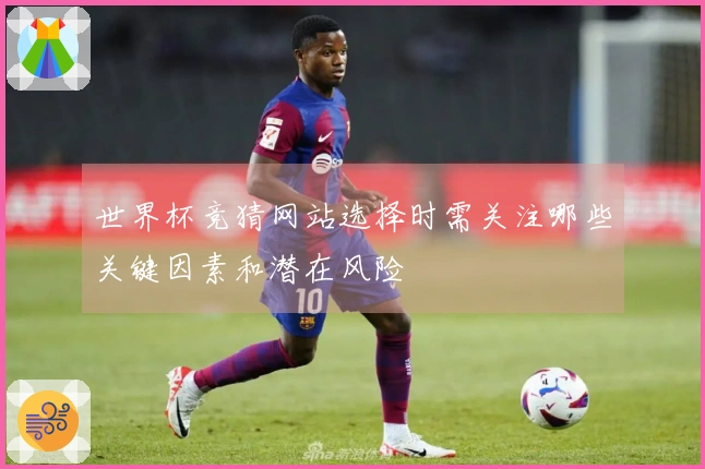 世界杯竞猜网站选择时需关注哪些关键因素和潜在风险