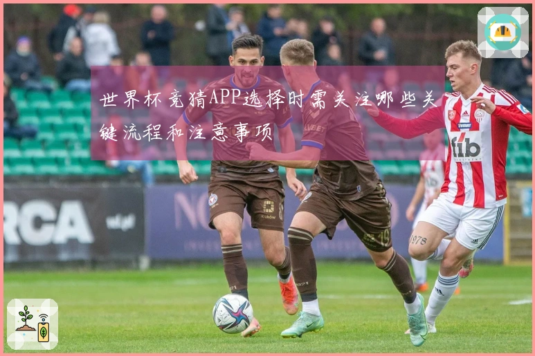 世界杯竞猜APP选择时需关注哪些关键流程和注意事项
