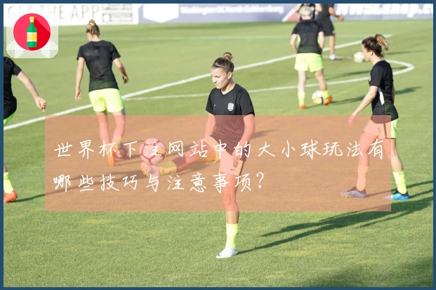 世界杯下注网站中的大小球玩法有哪些技巧与注意事项?