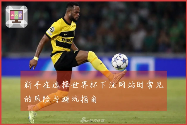 新手在选择世界杯下注网站时常见的风险与避坑指南