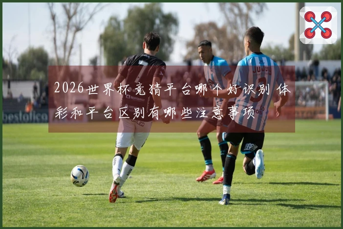 2026世界杯竞猜平台哪个好识别 体彩和平台区别有哪些注意事项