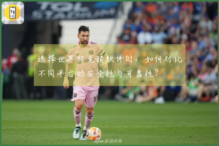 选择世界杯竞猜软件时，如何对比不同平台的安全性与可靠性？