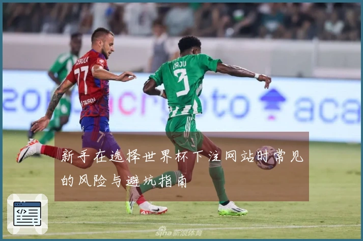新手在选择世界杯下注网站时常见的风险与避坑指南