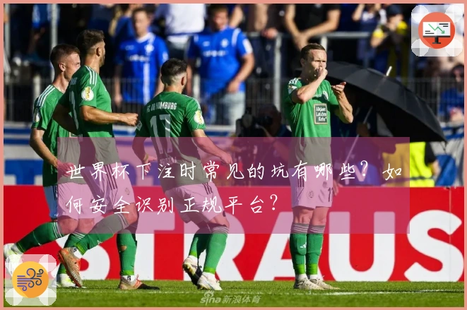 世界杯下注时常见的坑有哪些？如何安全识别正规平台？