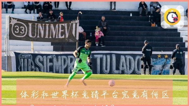 体彩和世界杯竞猜平台究竟有何区别？你应该如何选择？