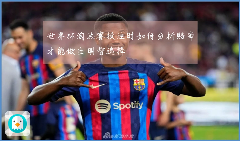 世界杯淘汰赛投注时如何分析赔率才能做出明智选择