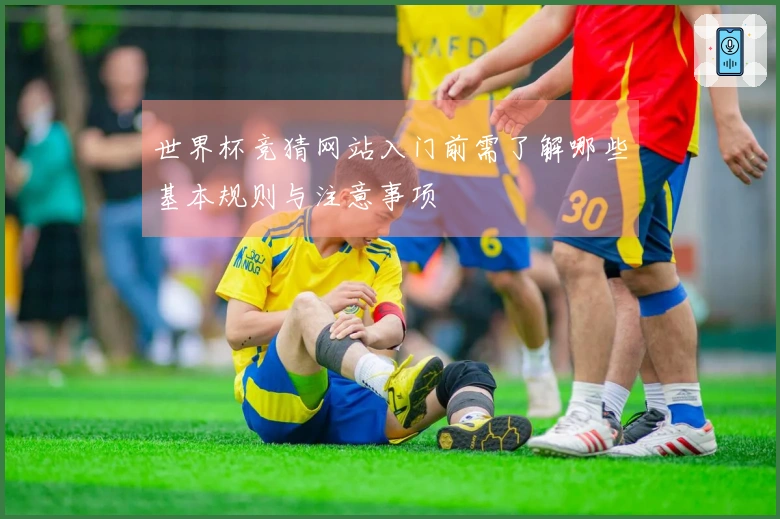世界杯竞猜网站入门前需了解哪些基本规则与注意事项
