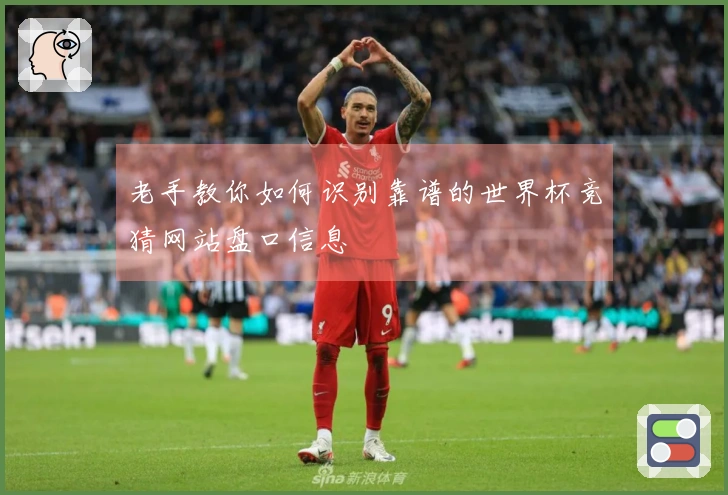 老手教你如何识别靠谱的世界杯竞猜网站盘口信息