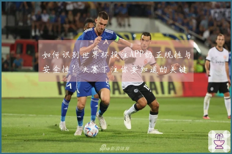 如何识别世界杯投注APP的正规性与安全性?决赛下注你要知道的关键点