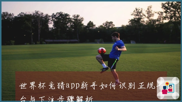 世界杯竞猜app新手如何识别正规平台与下注步骤解析