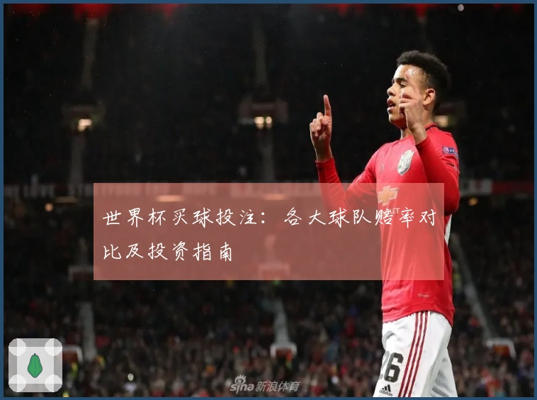 世界杯买球投注：各大球队赔率对比及投资指南