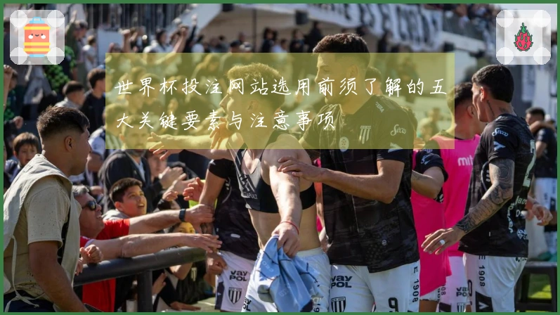 世界杯投注网站选用前须了解的五大关键要素与注意事项
