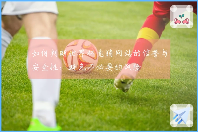 如何判断世界杯竞猜网站的信誉与安全性，避免不必要的风险