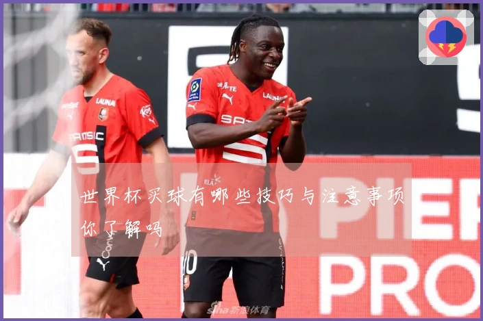世界杯买球有哪些技巧与注意事项你了解吗