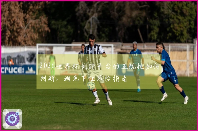 2026世界杯竞猜平台的正规性如何判断，避免下注风险指南