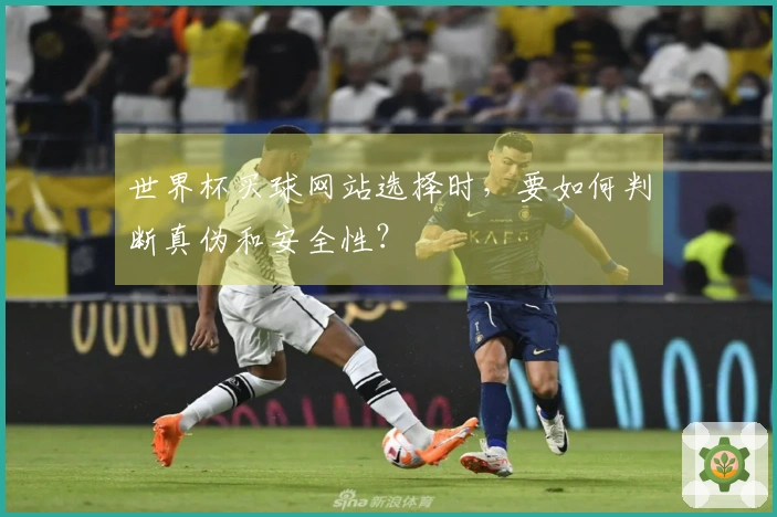 世界杯买球网站选择时,要如何判断真伪和安全性?