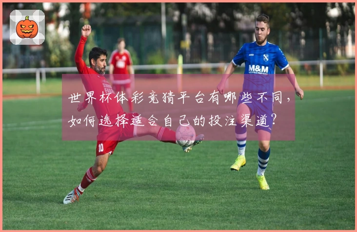 世界杯体彩竞猜平台有哪些不同，如何选择适合自己的投注渠道？