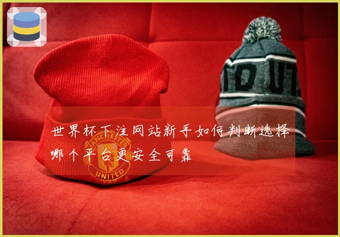 世界杯下注网站新手如何判断选择哪个平台更安全可靠