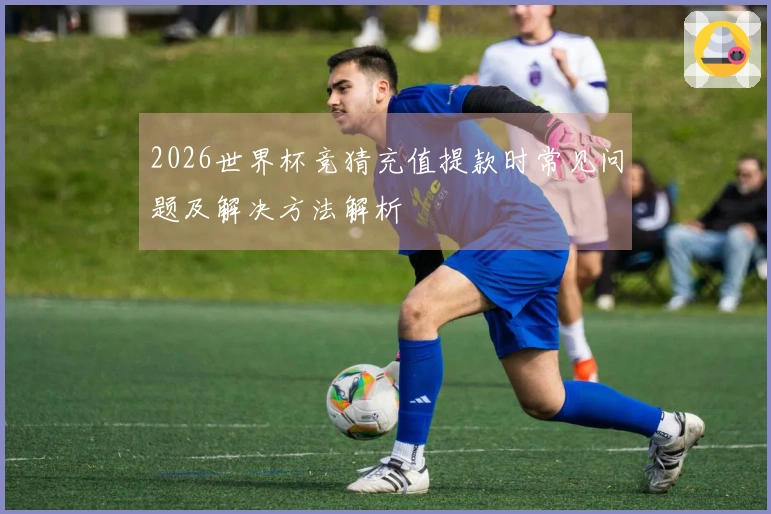2026世界杯竞猜充值提款时常见问题及解决方法解析
