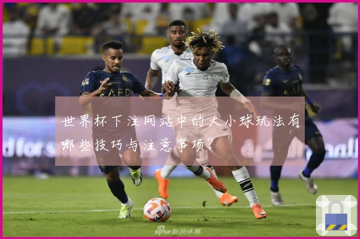 世界杯下注网站中的大小球玩法有哪些技巧与注意事项？