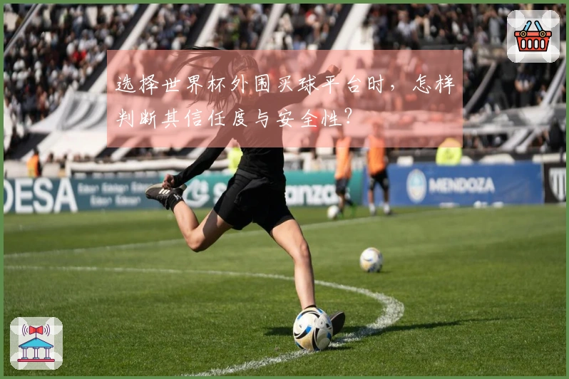 选择世界杯外围买球平台时，怎样判断其信任度与安全性？