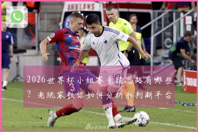 2026世界杯小组赛竞猜思路有哪些？老玩家教你如何分析和判断平台选择